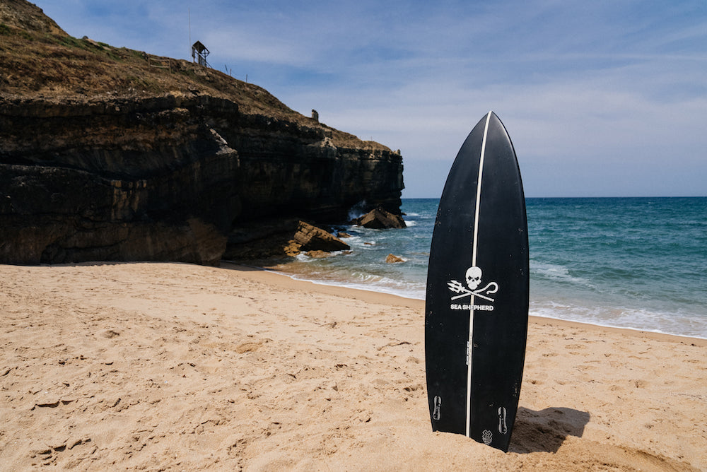 Shortboard Sea Shepherd